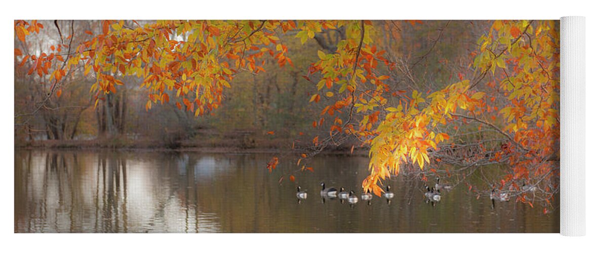 Pond Yoga Mat featuring the photograph Peavefull Pond Reflections by Dale Powell