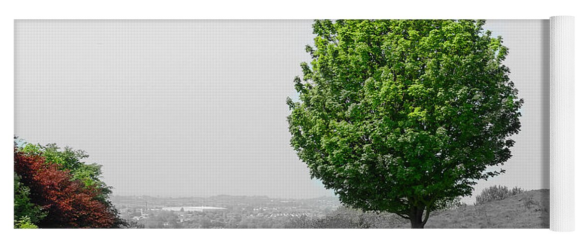 Vegetation Yoga Mat featuring the photograph The Lone Tree On the Climb Up to Glastonbury by Rene Triay FineArt Photos
