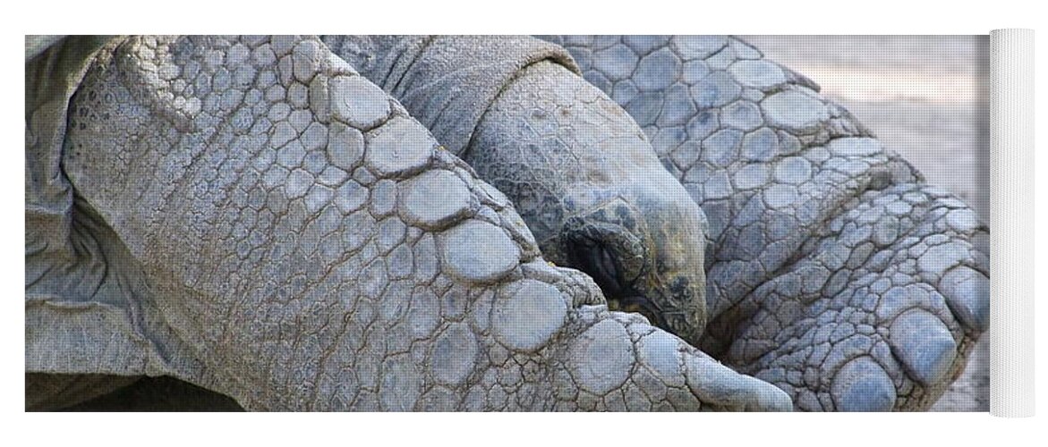 Tortoise Yoga Mat featuring the photograph One Very Old Very Large Sulcata Tortoise by Mary Deal