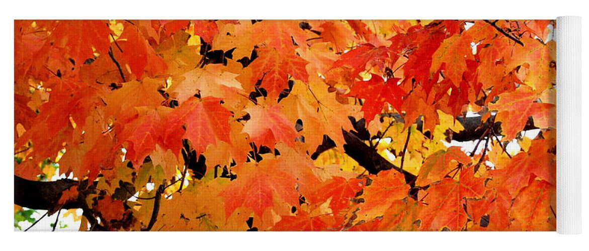 Maple Tree Yoga Mat featuring the photograph Orange And Reds And Some Yellow Too by Eunice Miller