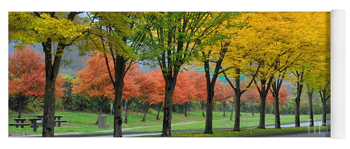 Fall Yoga Mat featuring the photograph Row Of Trees by Kirt Tisdale