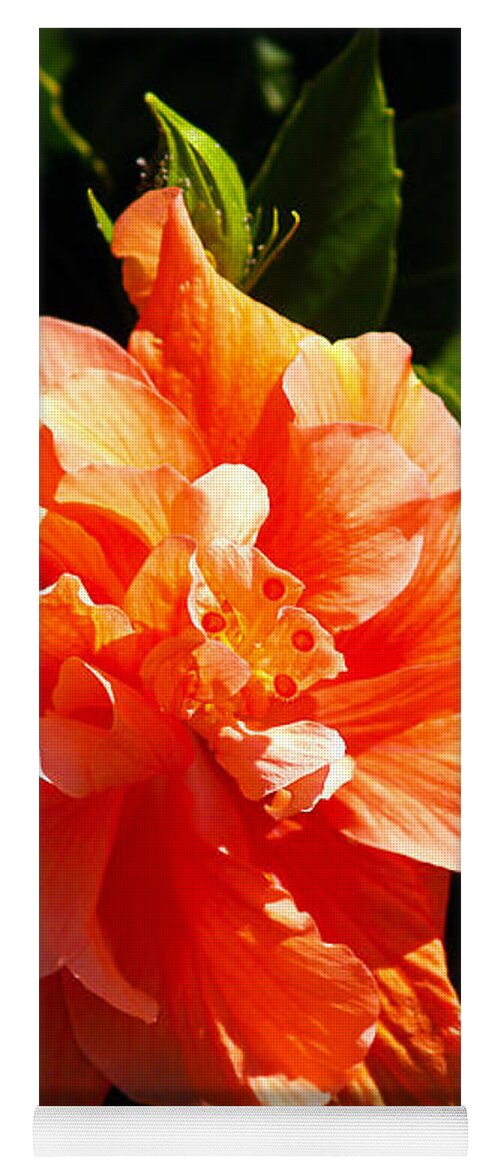 Fine Art Photography Yoga Mat featuring the photograph Orange Hibiscus by Patricia Griffin Brett
