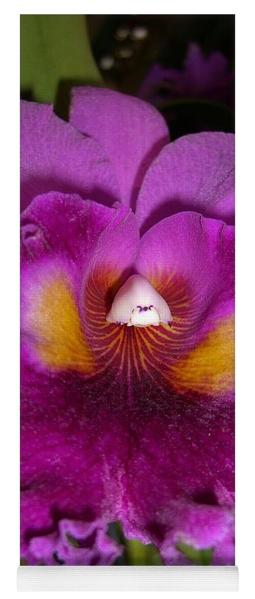 Orchid Yoga Mat featuring the photograph Orchid Flames by Michele Penn