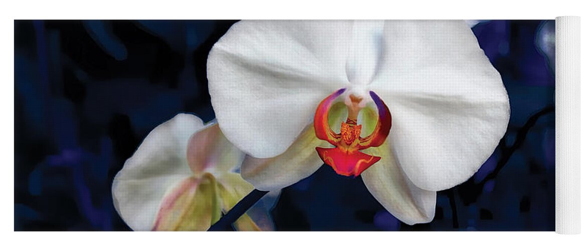 Orchid Yoga Mat featuring the photograph Exotic Orchid 25 by Carlos Diaz