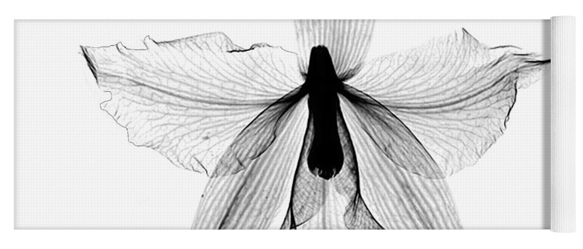 Nature Yoga Mat featuring the photograph Orchid Flower X-ray by Bert Myers