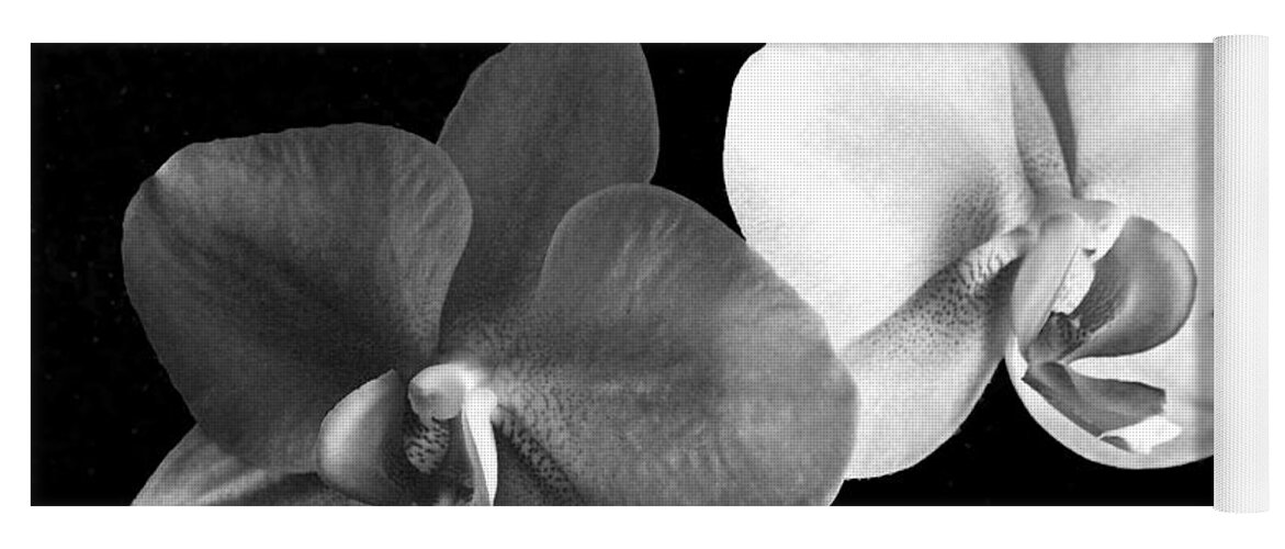 Floral Yoga Mat featuring the photograph Orchid in black and white by Steve Karol