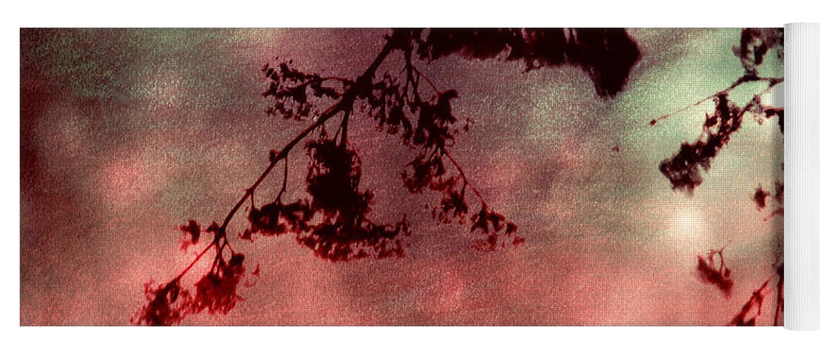 Tree Branch Yoga Mat featuring the photograph Organic Impressions by Shawna Rowe