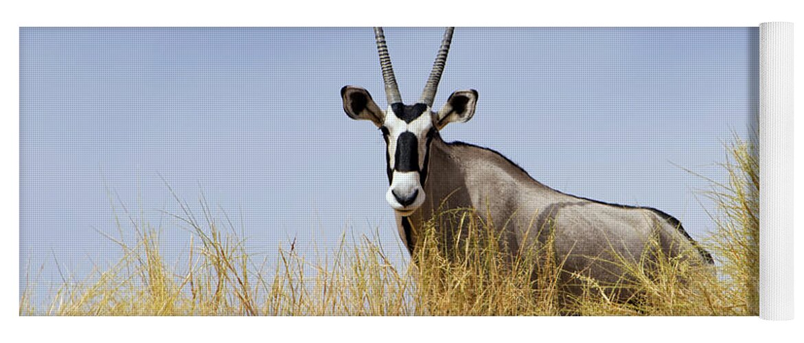 Nis Yoga Mat featuring the photograph Oryx Namibia by Alexander Koenders