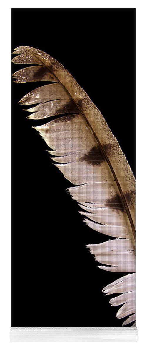 Jean Noren Yoga Mat featuring the photograph Owl Feather by Jean Noren