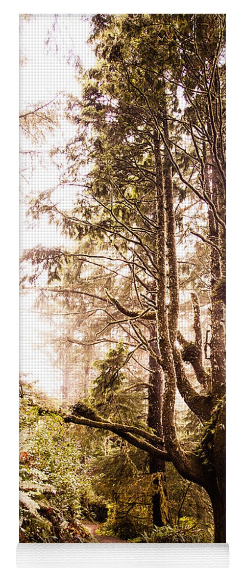 Pacific Yoga Mat featuring the photograph Pacific Pathway 2 the Funky Tree by Monte Arnold