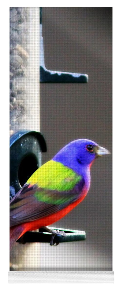 Bird Yoga Mat featuring the photograph Painted Bunting - IMG 9757-002 by Travis Truelove