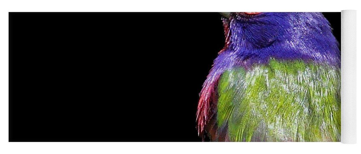 Painted Bunting Yoga Mat featuring the photograph Painted Bunting by Meg Rousher