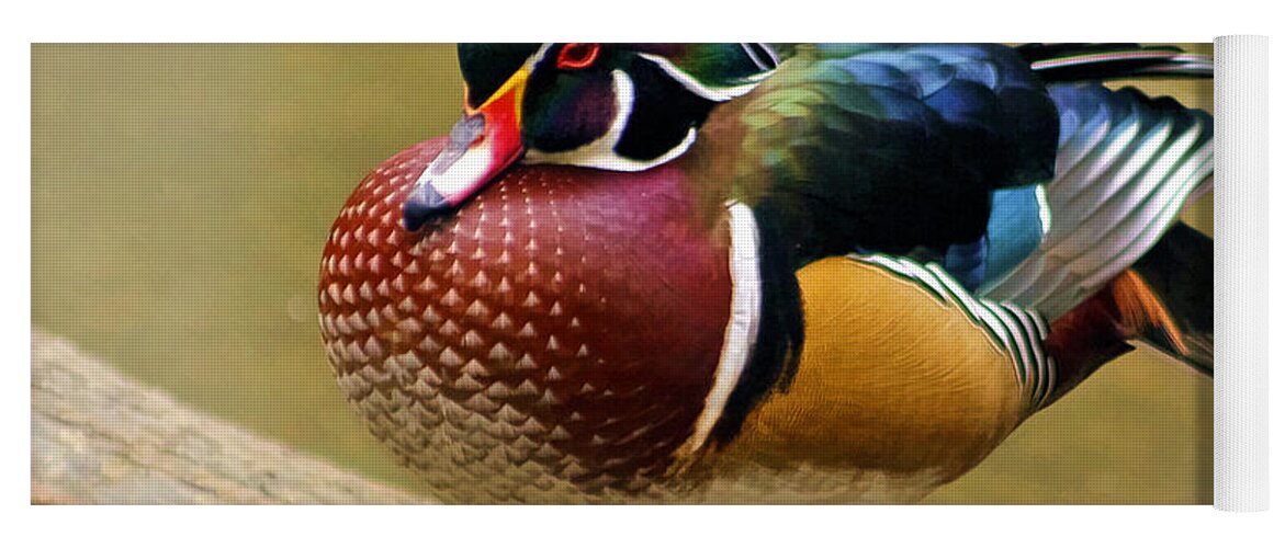 Painted Wood Duck Yoga Mat featuring the photograph Painted Wood Duck by Wes and Dotty Weber
