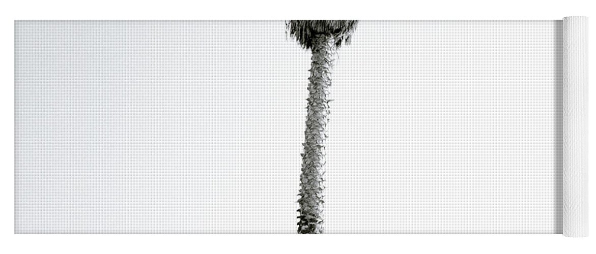 Graffiti Yoga Mat featuring the photograph Palm Tree And Graffiti by Shaun Higson