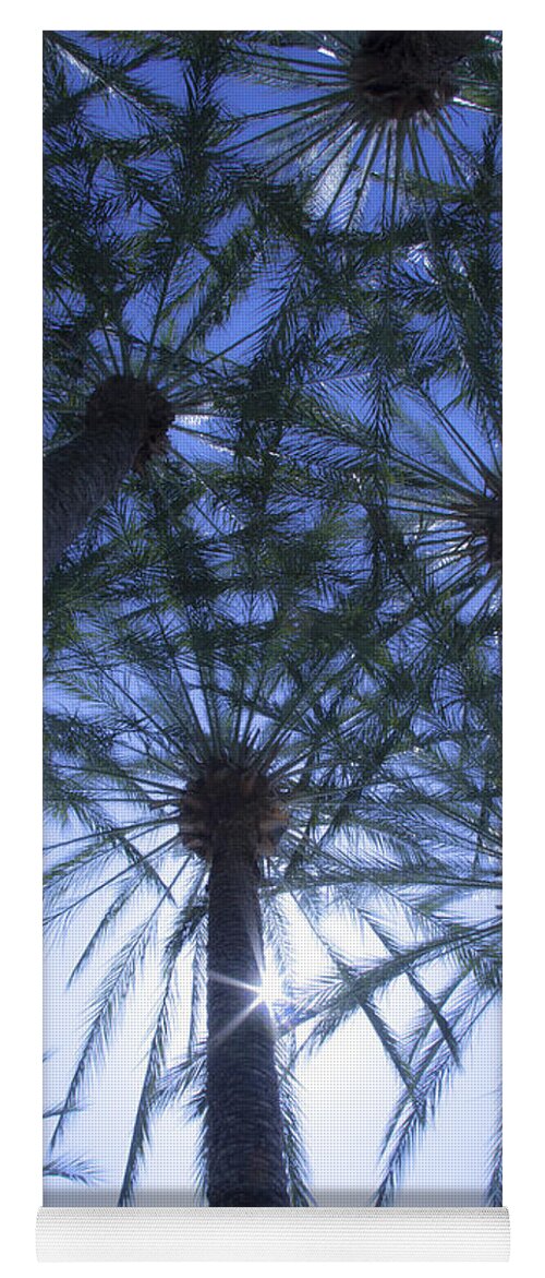 Palm Trees Yoga Mat featuring the photograph Palm Trees in The Sun by Jerry Cowart