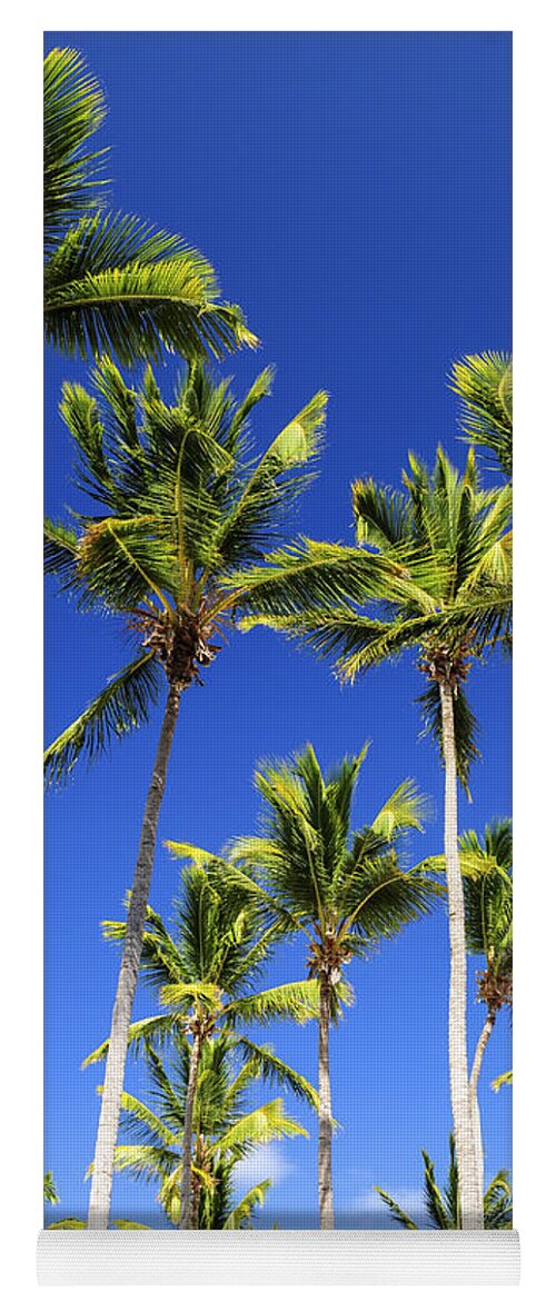 Palm Yoga Mat featuring the photograph Palms on blue sky by Elena Elisseeva