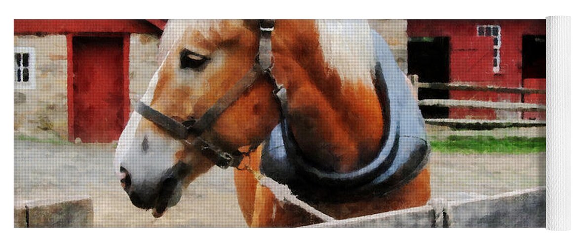 Horse Yoga Mat featuring the photograph Palomino By Red Barn by Susan Savad