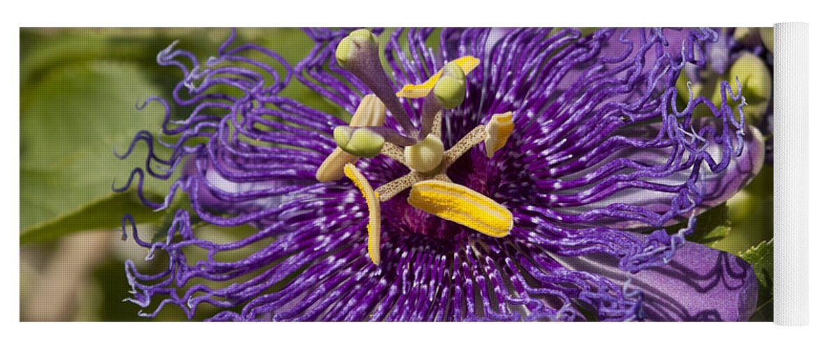 Passion Flower Yoga Mat featuring the photograph Passion Flower by Meg Rousher