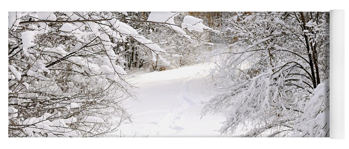 Winter Yoga Mat featuring the photograph Path in winter forest 5 by Elena Elisseeva