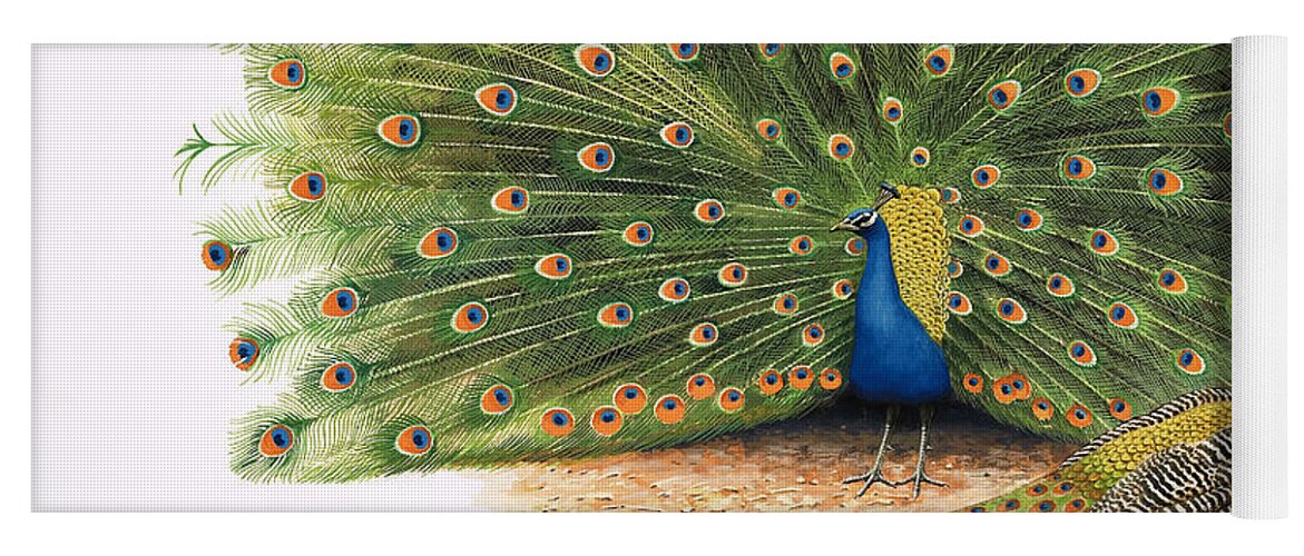 Peacock Yoga Mat featuring the painting Peacocks by RB Davis