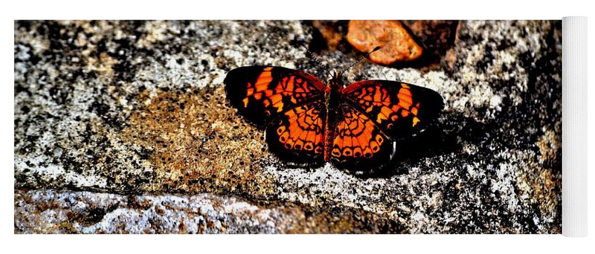 Pearl Crescent Butterfly Yoga Mat featuring the photograph Pearl Crescent Butterfly by Tara Potts