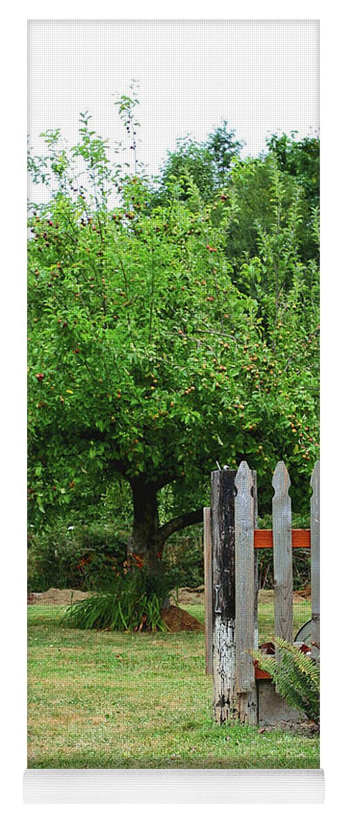 Fruit Tree Yoga Mat featuring the photograph Peg's Back Yard by Lorraine Devon Wilke