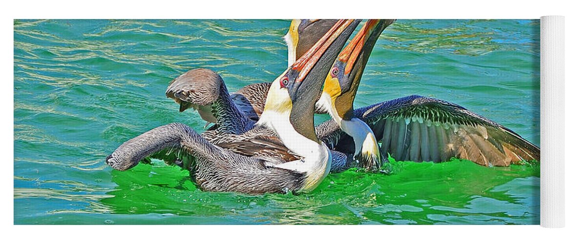 Pelicans Yoga Mat featuring the photograph Pelican Trio by Chris Thaxter