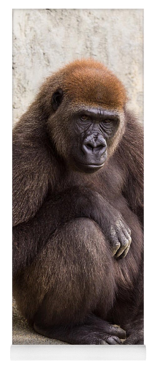 Africa Yoga Mat featuring the photograph Pensive Gorilla by Raul Rodriguez