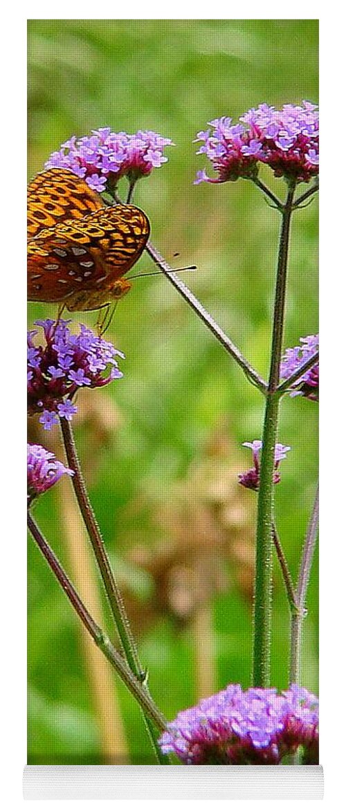 Fine Art Yoga Mat featuring the photograph Perched by Rodney Lee Williams