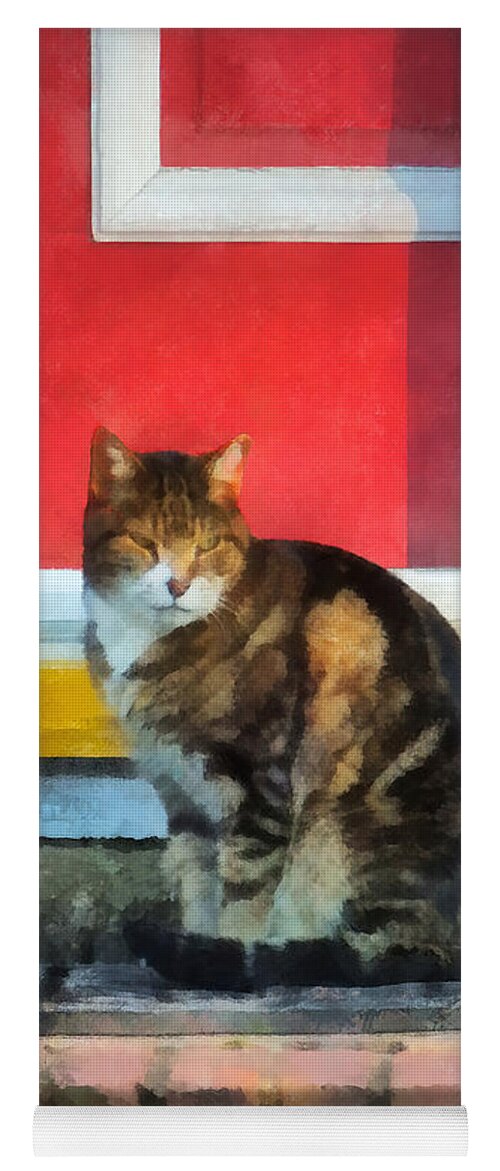 Cat Yoga Mat featuring the photograph Pets - Tabby Cat by Red Door by Susan Savad