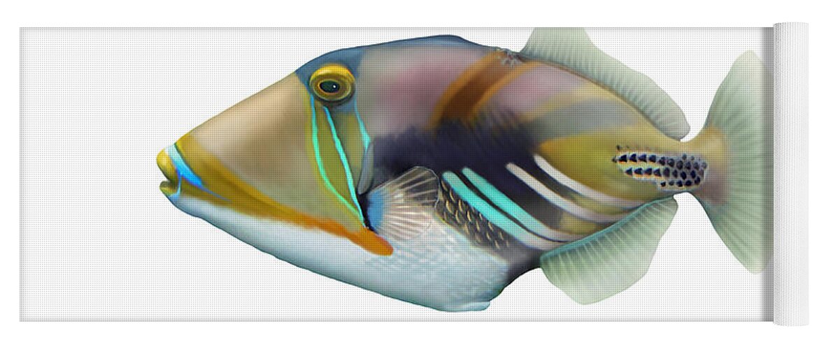 Picasso Triggerfish Yoga Mat featuring the photograph Picasso Triggerfish Rhinecanthus by Carlyn Iverson