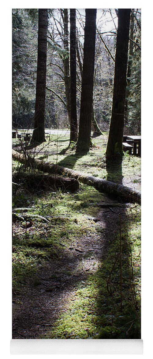 Oregon Yoga Mat featuring the photograph Picnic Pathway by John Daly