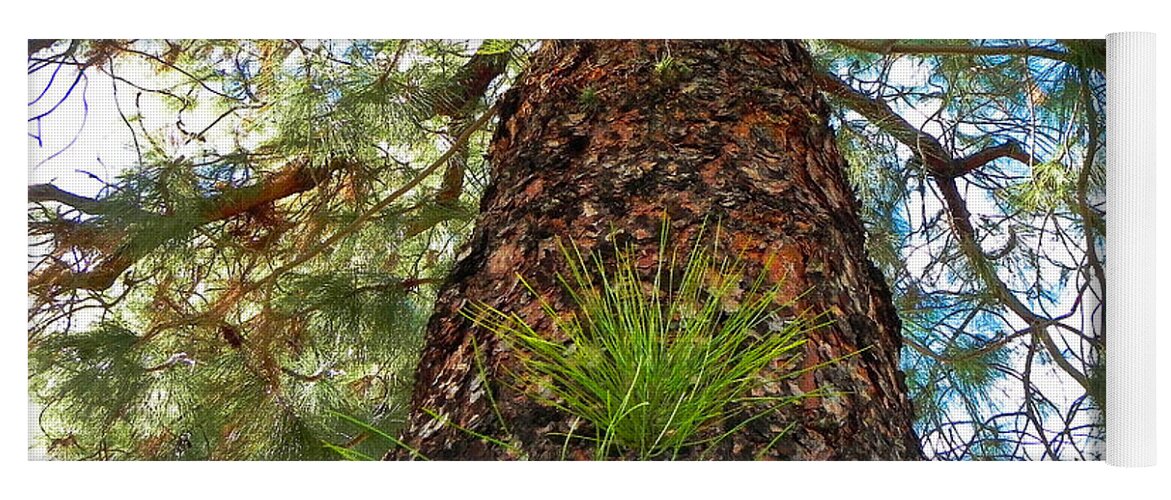 Nature Photos Yoga Mat featuring the photograph Pine Tree Tower by Diane Lynn Hix