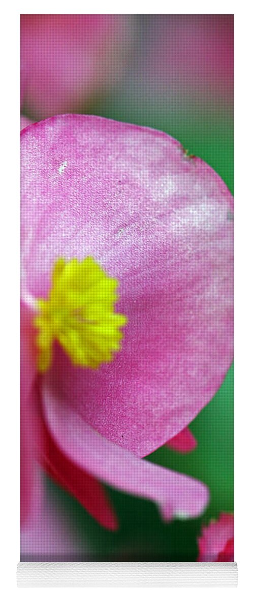 Flowers Yoga Mat featuring the photograph Pink Begonia by Jennifer Robin