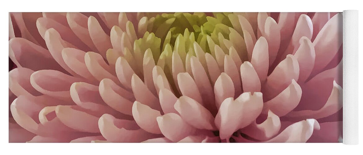 Chrysanthemum Yoga Mat featuring the photograph Pink Chrysanthemum by Lynn Bolt