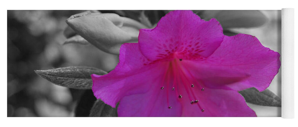 Abstract Yoga Mat featuring the photograph Pink Flower 2 by Maggy Marsh