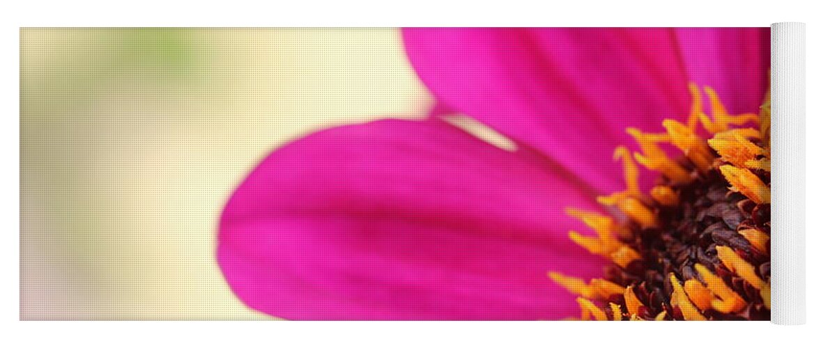 Beautiful Yoga Mat featuring the photograph Pink Flower by Amanda Mohler
