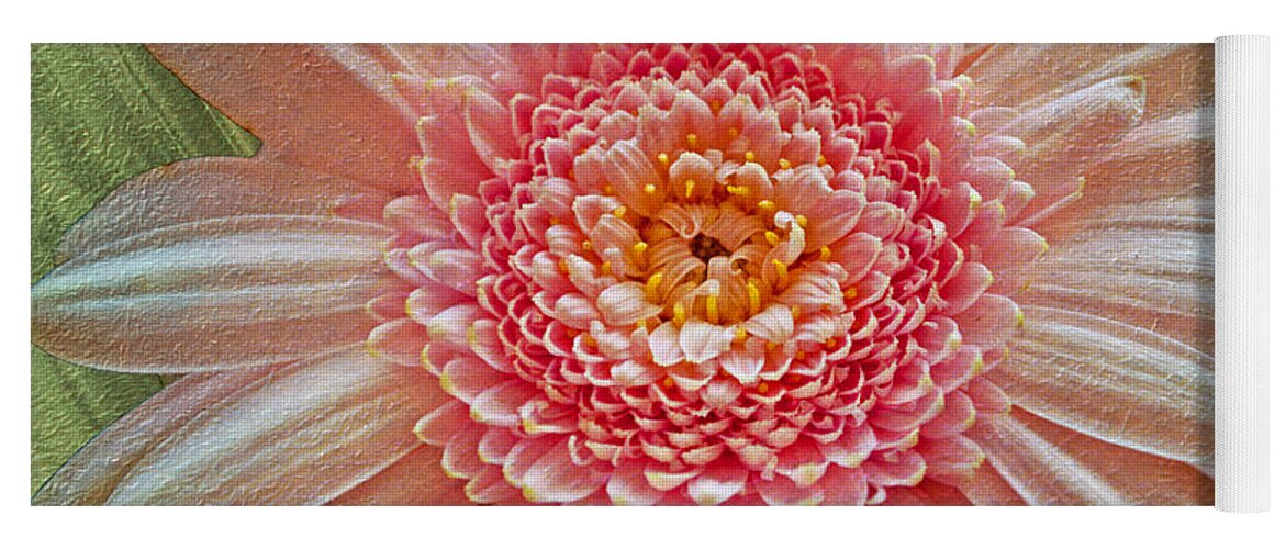 Beautiful Yoga Mat featuring the photograph Pink Gerbera Textured by Chris Thaxter
