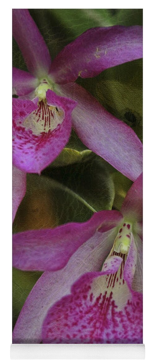Orchid Yoga Mat featuring the photograph Pink Leopard by Deborah Benoit