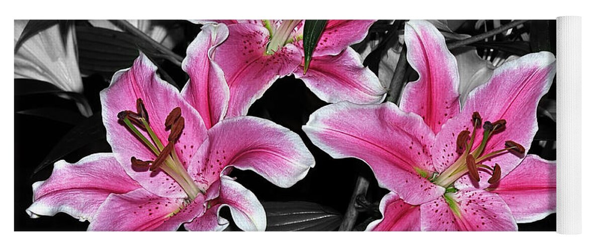 Photography Yoga Mat featuring the photograph Pink Lilies on Black and White by Kaye Menner