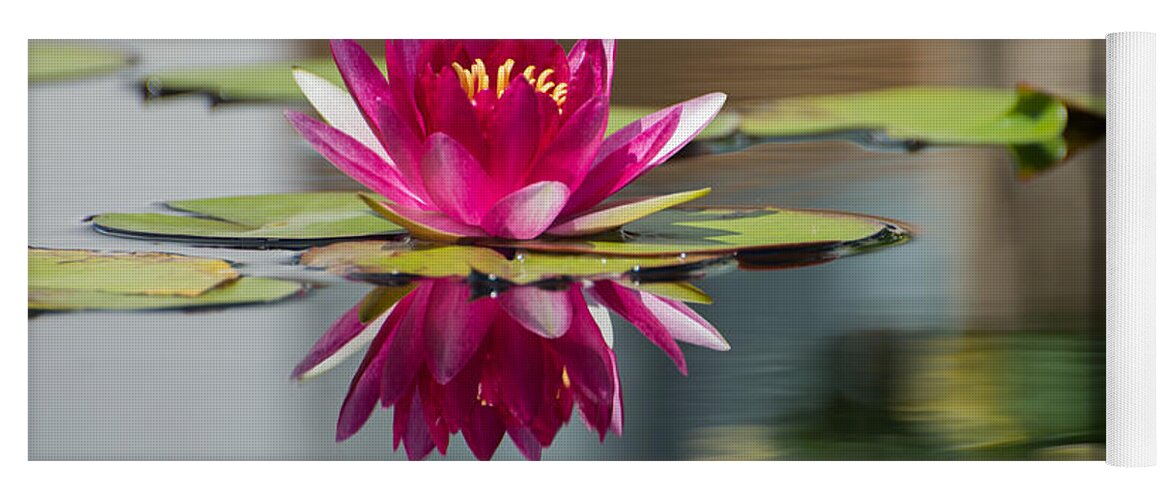 Waterlily Yoga Mat featuring the photograph Pink Water Lily by Stacy Abbott