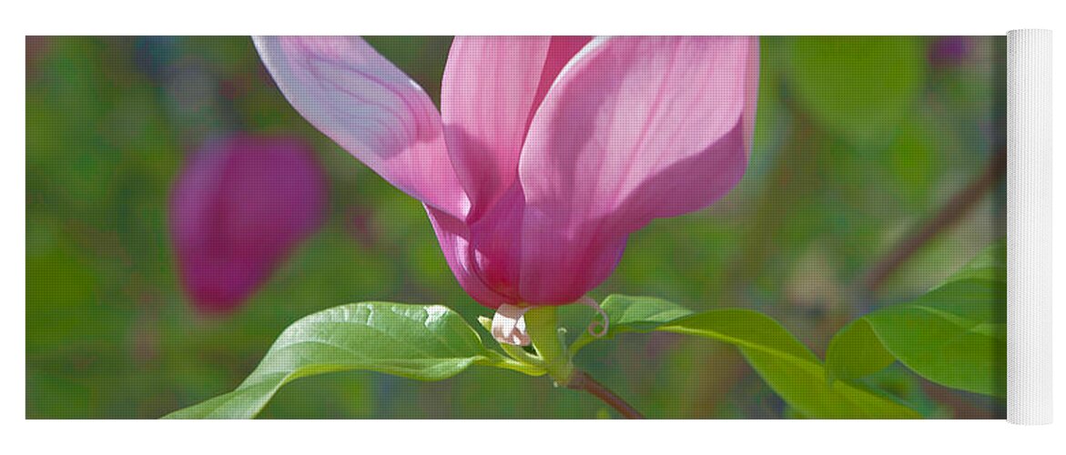 Magnolia Yoga Mat featuring the photograph Pink Magnolia Blossom by Ram Vasudev