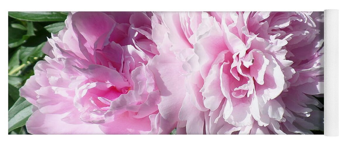 Pink Peonies 3 Yoga Mat featuring the photograph Pink Peonies 3 by HEVi FineArt