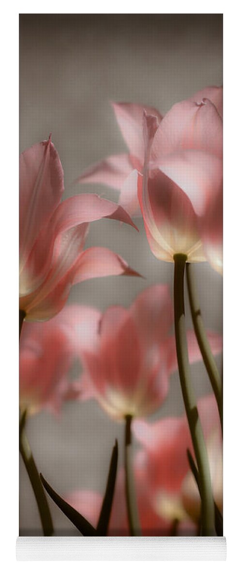 Tulips Yoga Mat featuring the photograph Pink Tulips Glow by Michelle Joseph-Long