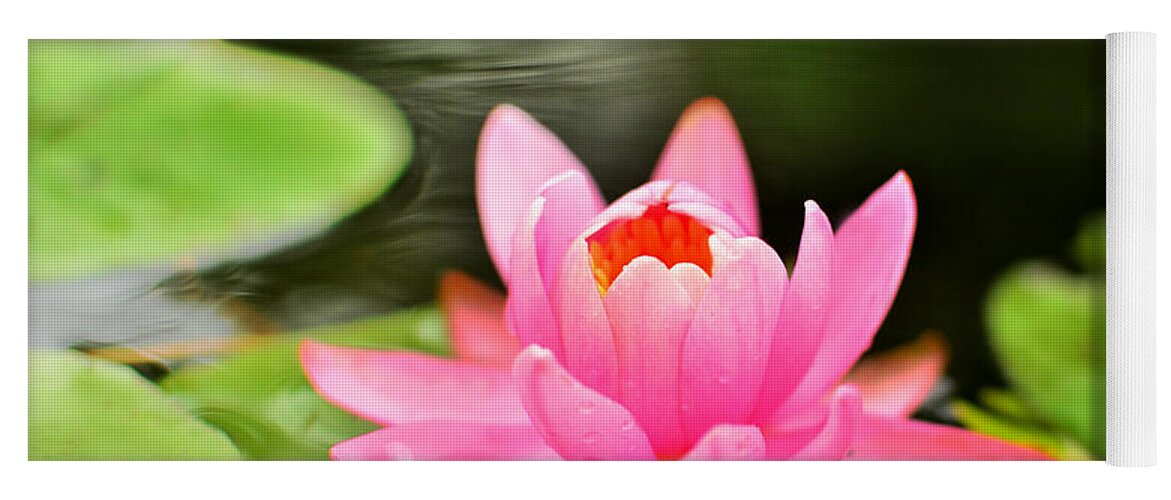 Water Lilly Yoga Mat featuring the photograph Pink Water Lilly by Lisa Lambert-Shank