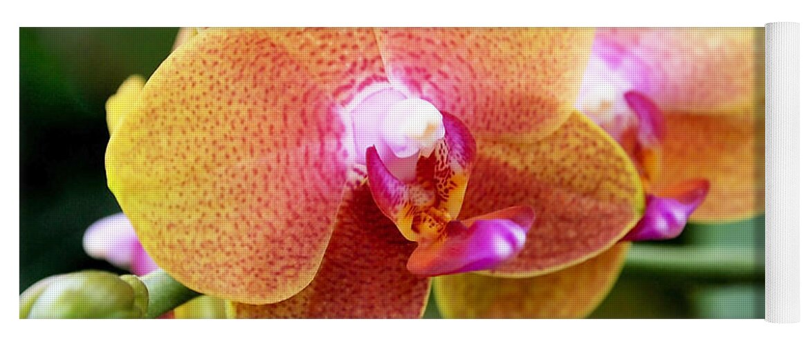 Orchid Yoga Mat featuring the photograph Pink Yellow Orchid by Rona Black