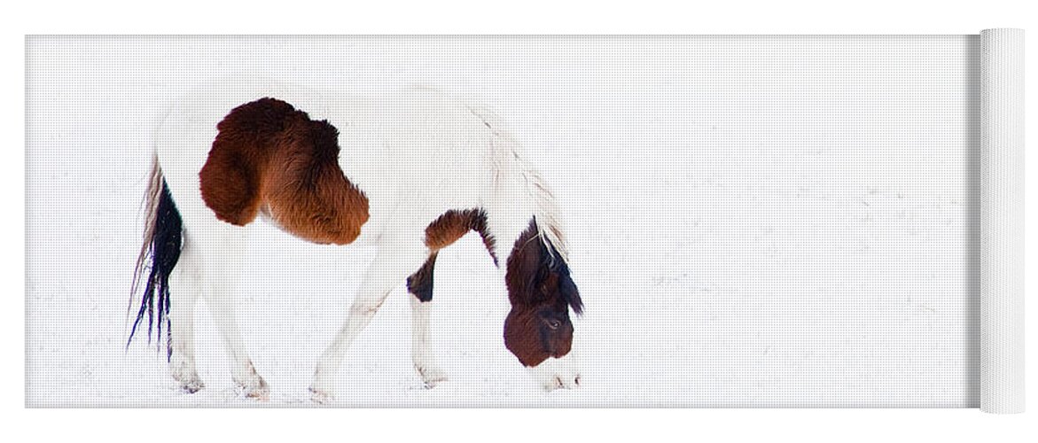 Small Horse Yoga Mat featuring the photograph Pinto Pony by Theresa Tahara