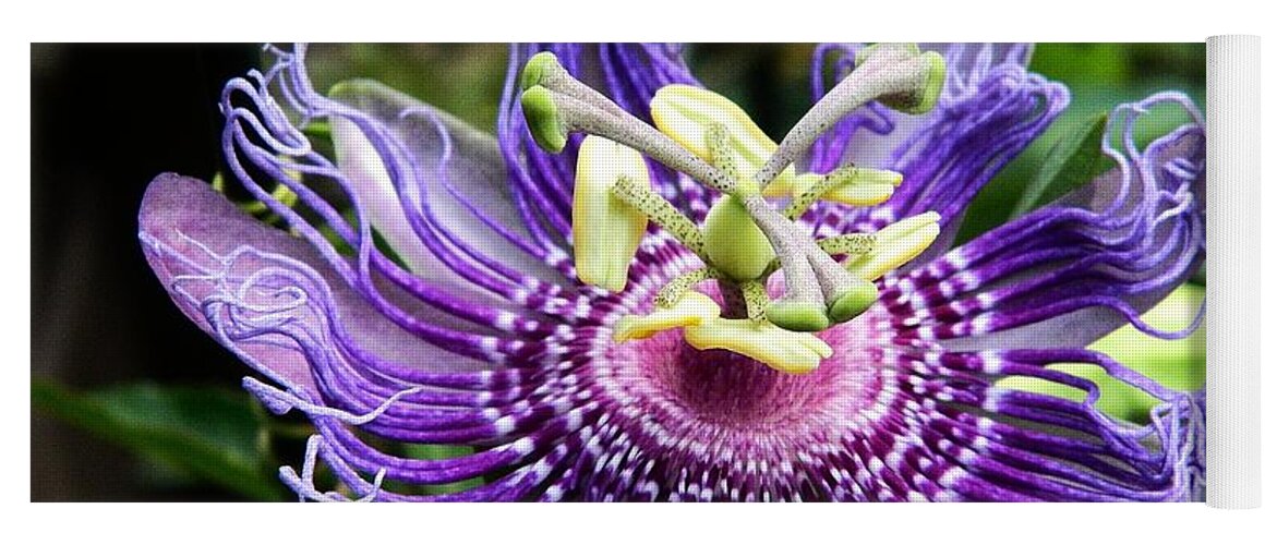 Passion Flower Yoga Mat featuring the photograph Pirouette by Terri Waselchuk