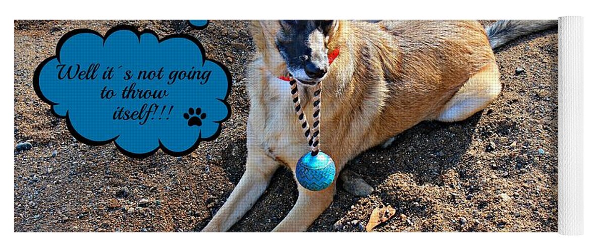 Dog Yoga Mat featuring the photograph Play Ball by Clare Bevan