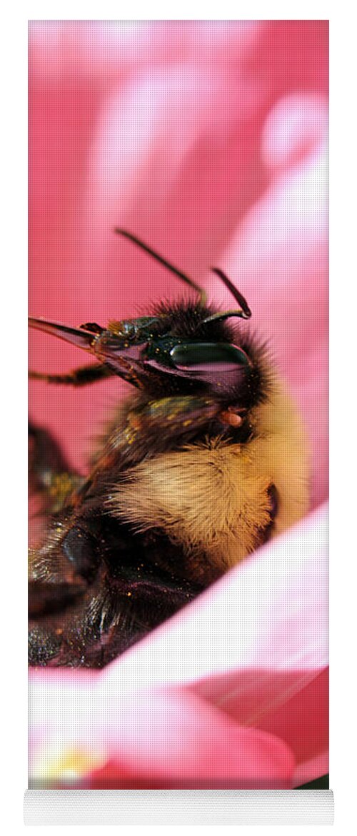 Insects Yoga Mat featuring the photograph 'Pollen High' by Jennifer Robin